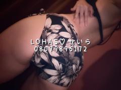 LOHAS(ロハス)　せいら