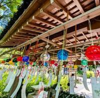 花の都～人妻の都～延岡店　あゆみ