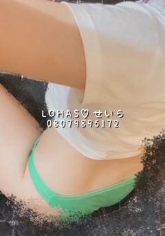 LOHAS(ロハス)　せいら