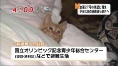 一夜の愛人　さりな