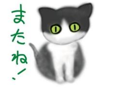 こんにちは