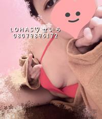 LOHAS(ロハス)　せいら