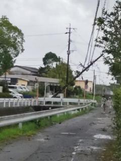 台風大丈夫でしたか？