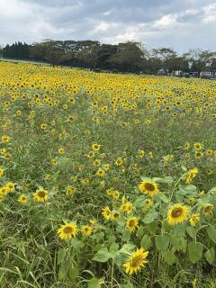 おはようございます☀
