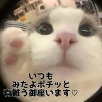 待ちナビ　ひろか