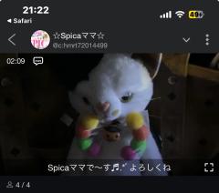 Spica(すぴか)　★ひなた★激カワ天使♡