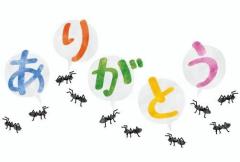 鹿児島ちゃんこ薩摩川内店　ももこ