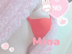 MICHELIN ミシュラン　ミナ(MINA)