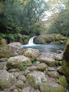 JaPON　都和ﾂﾜ