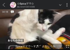 Spica(すぴか)　★ひなた★激カワ天使♡