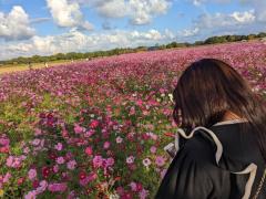 爆安＜元祖＞どすこい倶楽部　★体験もか★宮崎店