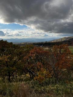 パールボディ　景華(けいか）