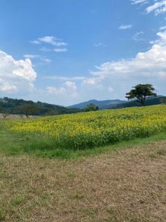 都城デリヘル ゲット24時間　あき