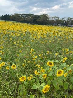 都城デリヘル ゲット24時間　みく