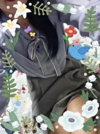 白うさぎ　