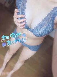 MIYAZAKI SANSAIN　せり