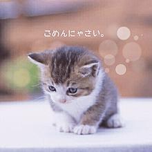 clubNOA　◆みすず◆