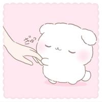 MIYAZAKI SANSAIN　もみじ
