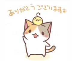 ぷにっ娘