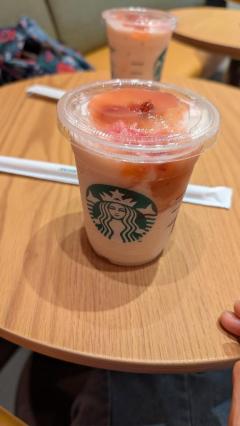  五十嵐まい【宮崎体験】