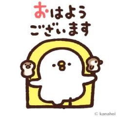 鹿児島ちゃんこ 天文館店(鹿児島市) くみこ