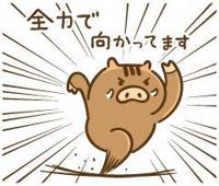 MIYAZAKI SANSAIN　りりか