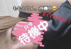 鹿児島ちゃんこ薩摩川内店(薩摩川内市) ももこ