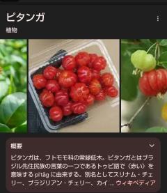 MICHELIN ミシュラン　