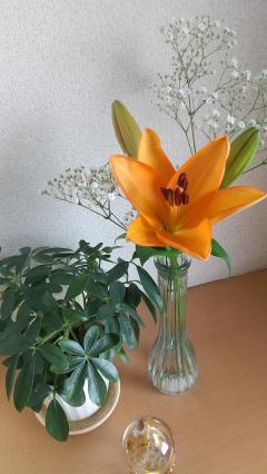 ご主人様いらっしゃい 大分店(大分市) ｳﾒ♡すご技テクニシャ