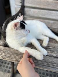 かりゆしOLの秘密(那覇市) あんな⭐︎某水◯アナ激似