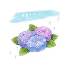  純白【ましろ】