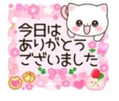  ねこ【五十路】