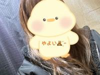 やよい