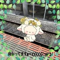 待ちナビ(福岡市) かえで