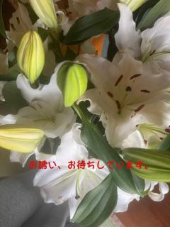 Heaven Club (ヘブンクラブ)(鹿屋市) マキ♡