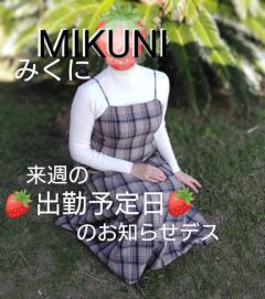 人妻ステーションポータブル鹿児島(鹿児島市) みくに