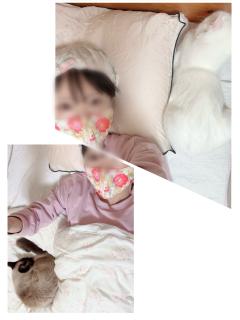  かおり