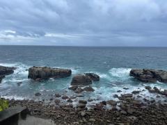 キャンディ(鹿児島市) アル