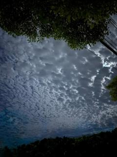 雲の出現に怯えつつも・・
