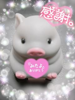 紗代ｻﾖ | JaPON 