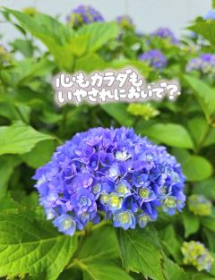 雨の日だから