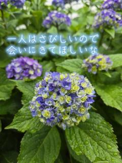 ご報告☝️