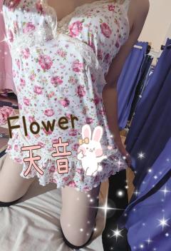 4人のお兄さまへ💌💕