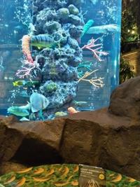 待ちナビ(福岡市) ちとせ