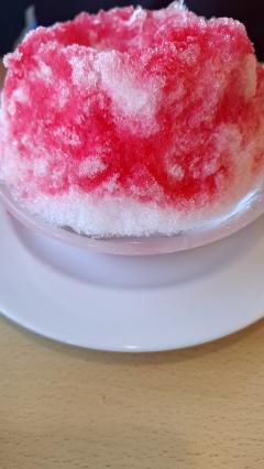 保険屋のおばちゃん