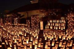 人妻24時(大分市) しずく
