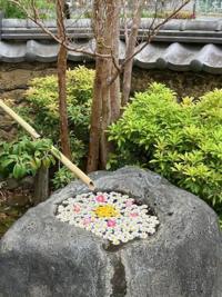 れみか | 待ちナビ 