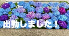 エンタメGR　