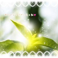 TheGrandPhoenix(大分市) 莉子※完全業界未経験超美人奥様