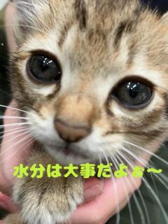  桃香（ももか）色白美人で癒し系